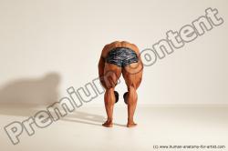 Bodybuilding reference poses of Ramon